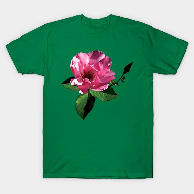 Roses - One Pink Rose with Bud T-Shirt by SusanSavad